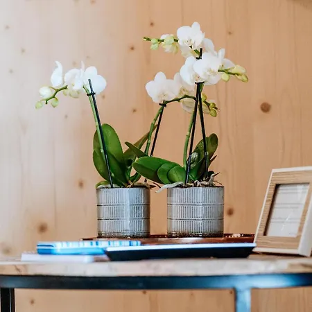 Clofers Active Sonnleitn * 黑马戈尔